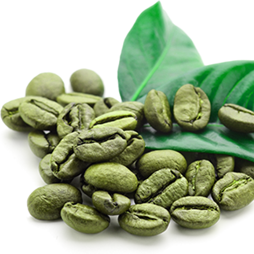 Green coffee beans representing the caffeine that is used as an ingredient in performance drink mix by Enerza.